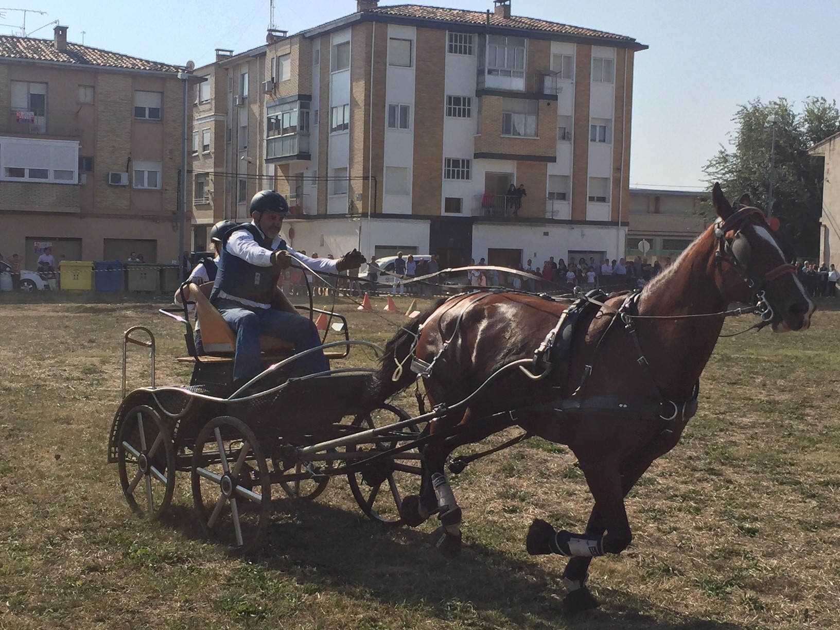 Campeonato Navarro de Enganches en Marcilla